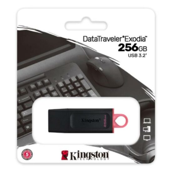 PEN DRIVE KINGSTON 256GB USB 3.2 DTXM/256GB