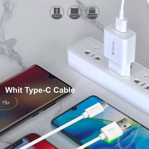 AC ADAPTER 2.4A + CAVO DEVIA USB/TYPE-C DATI/CARICA DESC21C037W